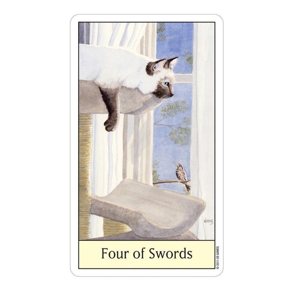Tarot Deck With Guidebook - Cats Eye Tarot 12x7 cm Kartenspiele