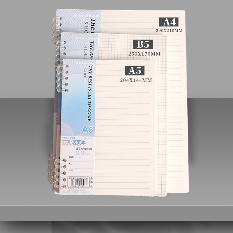 A5 Spiral Dotted Grid Notebook - A4 B5 A5 Loseblatt-Notizbuch-Nachfüllpackung 60 Blatt