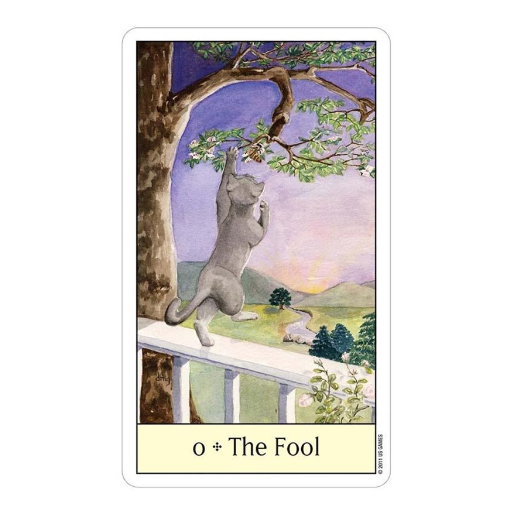Cats Eye Tarot 12x7 cm Kartens – Tarot Deck With Guidebook Bewertung und Preis