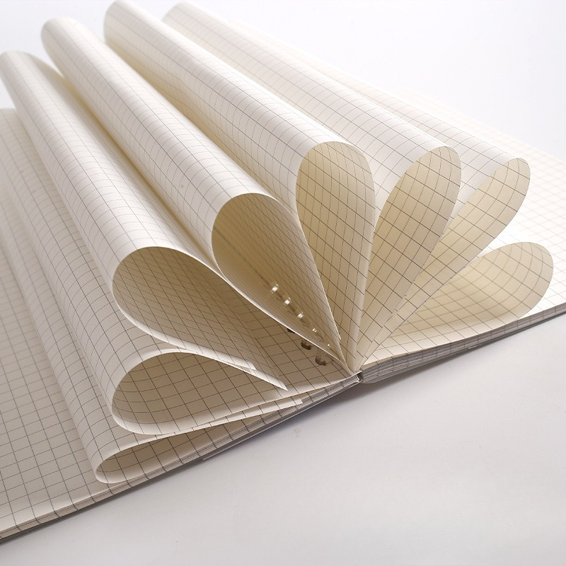 A4 B5 A5 Loseblatt-Notizbuch-N – A5 Spiral Dotted Grid Notebook Bewertung und Preis
