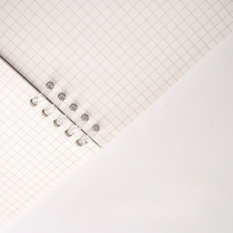A4 B5 A5 Loseblatt-Notizbuch-N – A5 Spiral Dotted Grid Notebook Bewertung und Preis